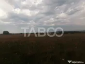 Teren de vanzare de 9.000 mp la sosea zona Industriala Vest