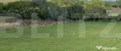 Teren intravilan 5546 mp Zaicesti, Botosani