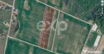 Terenuri de vanzare in Ciolpani, langa Padurea Snagov 24 eur