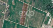 Terenuri de vanzare in Ciolpani, langa Padurea Snagov 24 eur 