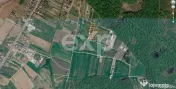 Terenuri de vanzare in Ciolpani, langa Padurea Snagov 24 eur 