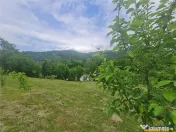 FILM! 23.000mp: oaza paradisiaca cu lac, vedere catre Bucegi