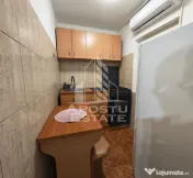 Apartament de vanzare cu 1 camera, etaj intermediar, Lipovei,Timisoara