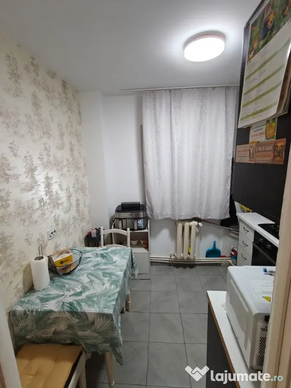 Apartament 2 camere confort 1 parculet Sucevei - Botosani (Botosani)