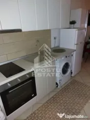 Apartament cu o camera, Zona Lipovei, Timisoara jud. Timis