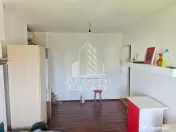 Garsoniera de vanzare, 21 mp, Calea Buziasului, Timisoara 