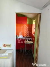 Garsoniera de vanzare, 21 mp, Calea Buziasului, Timisoara 