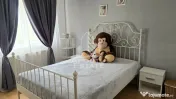 Apartament de vanzare cu 3 camere, decomandat,centrala proprie,Lipovei 
