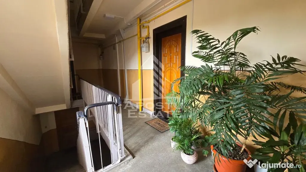 Apartament 2 camere de vanzare, zona Lipovei, Timisoara - Timisoara (Timis)