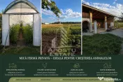 Vila cu piscina si mica ferma personala | 310 mp I Pădurea Verde 