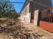 Doua case de vanzare cu 2533 mp teren, localitatea Pesac, Timis 