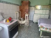 Doua case de vanzare cu 2533 mp teren, localitatea Pesac, Timis 