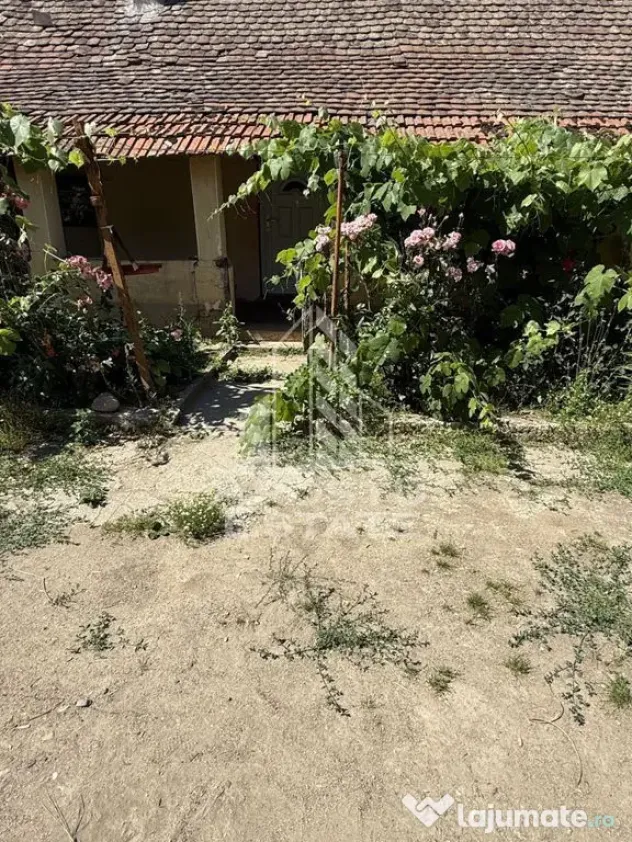 Casă veche în Bazos cu teren 1439 mp - Bazos (Timis)