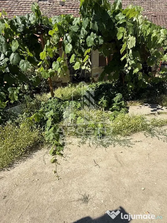 Casă veche în Bazos cu teren 1439 mp - Bazos (Timis)
