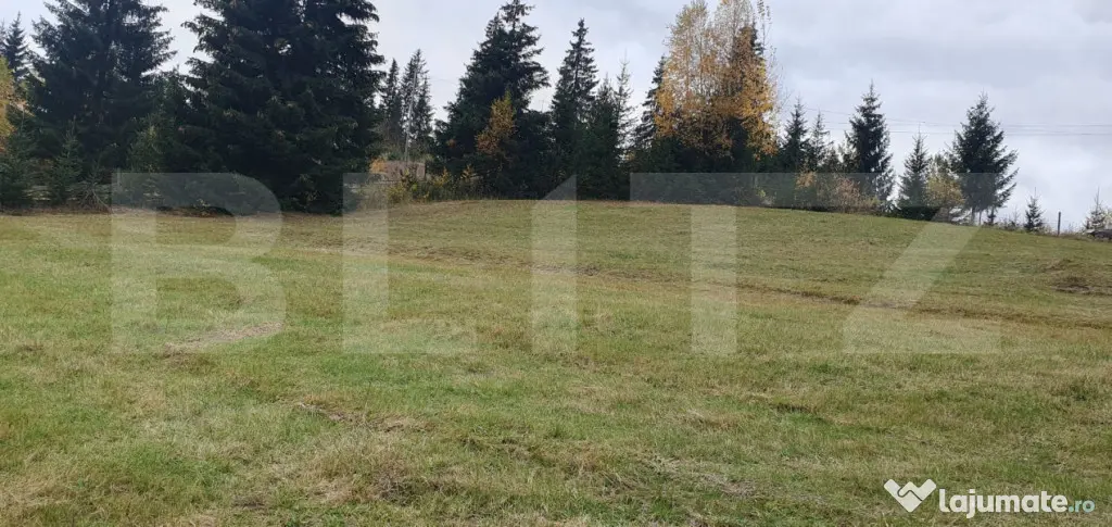 Teren intravilan, 4000 mp, zona Panaci - Vatra Dornei - Panaci (Suceava)