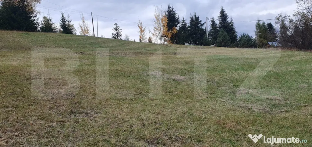 Teren intravilan, 4000 mp, zona Panaci - Vatra Dornei - Panaci (Suceava)