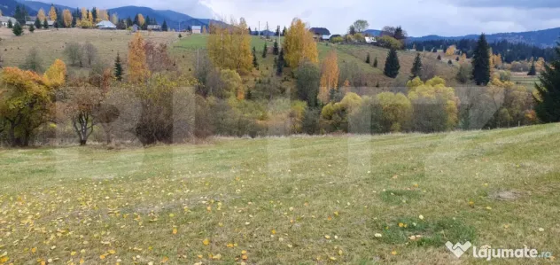 Teren intravilan, 4000 mp, zona Panaci - Vatra Dornei - Panaci (Suceava)
