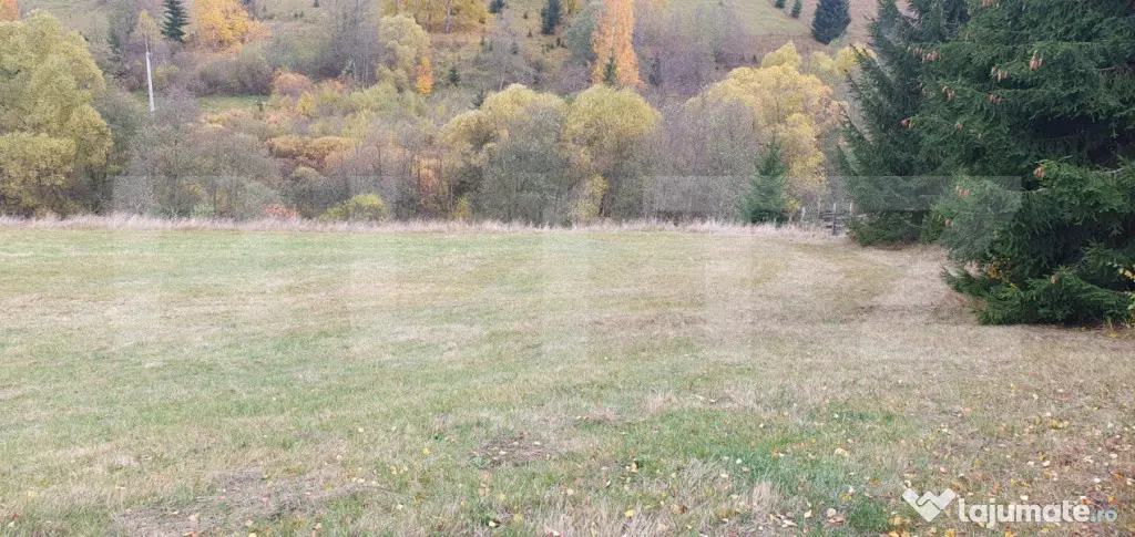 Teren intravilan, 4000 mp, zona Panaci - Vatra Dornei - Panaci (Suceava)