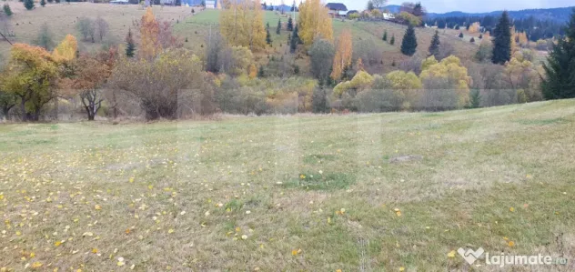 Teren intravilan, 4000 mp, zona Panaci - Vatra Dornei - Panaci (Suceava)