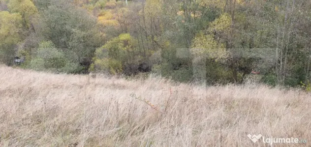 Teren intravilan, 4000 mp, zona Panaci - Vatra Dornei - Panaci (Suceava)