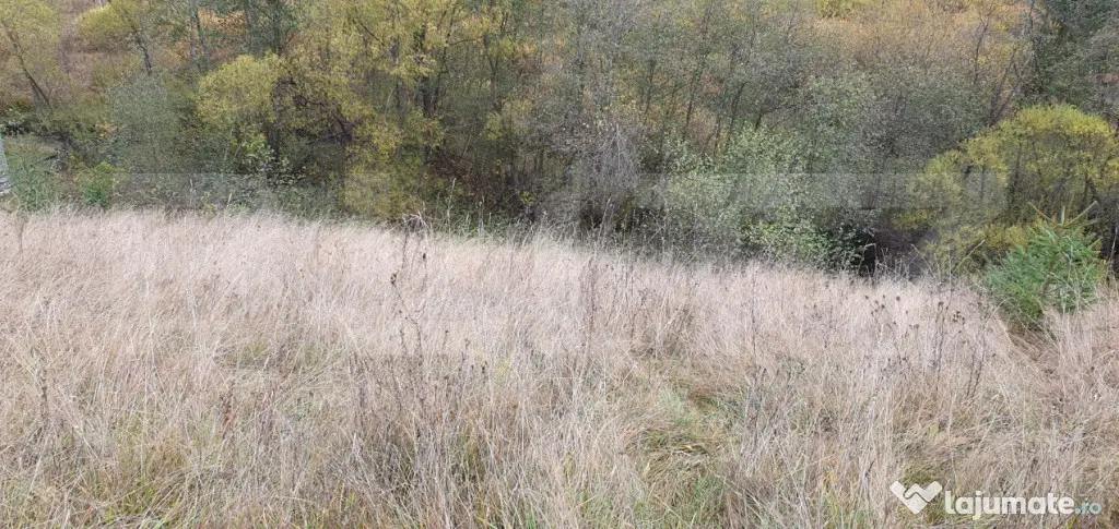 Teren intravilan, 4000 mp, zona Panaci - Vatra Dornei - Panaci (Suceava)