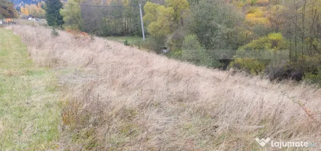 Teren intravilan, 4000 mp, zona Panaci - Vatra Dornei - Panaci (Suceava)