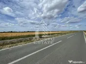 Teren 55.000 mp, front stradal 354 ml, asfalt, Remetea Mare -Ianova. 