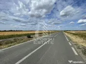 Teren 55.000 mp, front stradal 354 ml, asfalt, Remetea Mare -Ianova. 