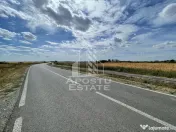 Teren 55.000 mp, front stradal 354 ml, asfalt, Remetea Mare -Ianova. 