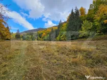 Teren extravilan de 2710 mp în Nemesi, comuna Vidra
