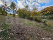 Teren extravilan de 2710 mp în Nemesi, comuna Vidra 