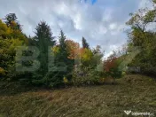 Teren extravilan de 2710 mp în Nemesi, comuna Vidra 