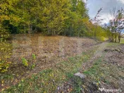 Teren extravilan de 2710 mp în Nemesi, comuna Vidra 