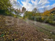 Teren extravilan de 2710 mp în Nemesi, comuna Vidra 