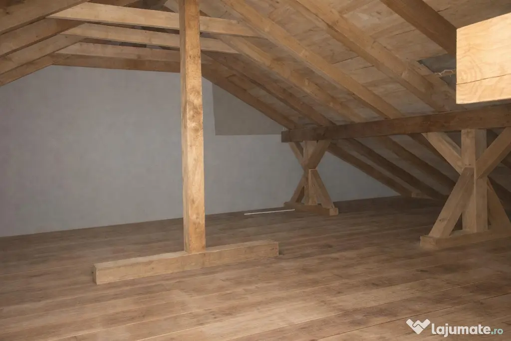 3 Camere + Mansarda + Curte - ai tot ce vrei intr-un singur - Chisoda (Timis)