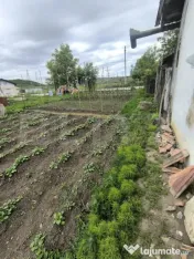 Casa de vanzare Noslac