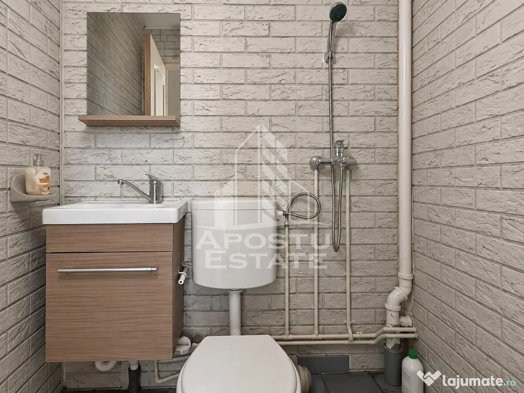 Apartament 1 camere zona Gradiste - Arad (Arad)