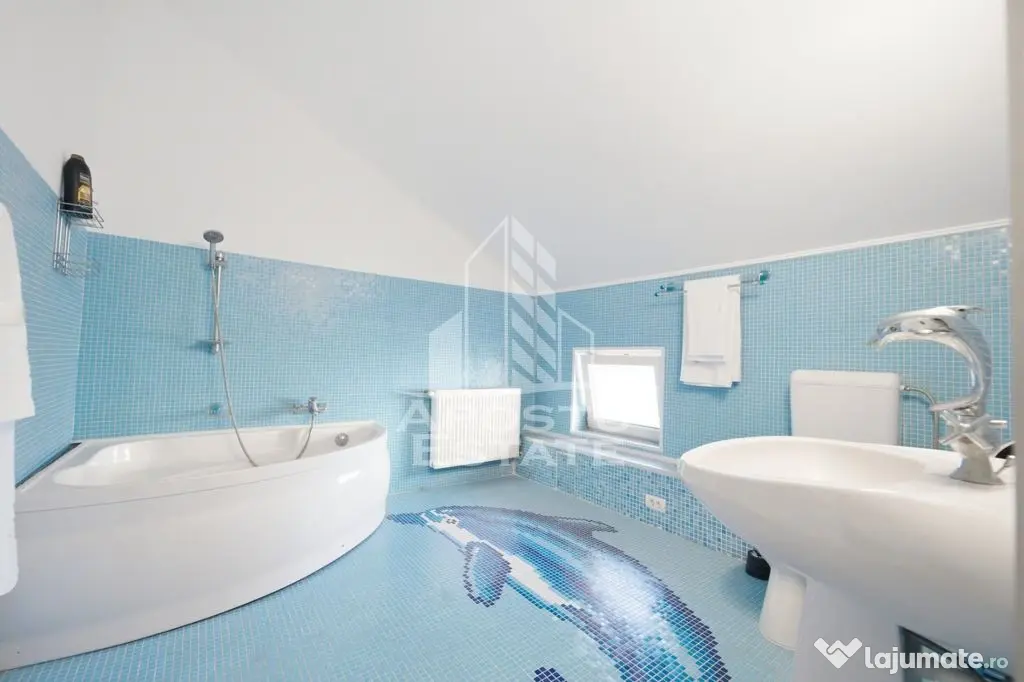 Casa/Vila 4 camere, 6 Vanatori - Arad (Arad)
