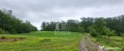 Teren agricol si pasune de 5300+3300 mp, Cuied 