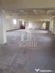 De vanzare / inchiriere hala industriala in Mosnita Noua, jud. Timis