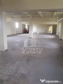 De vanzare / inchiriere hala industriala in Mosnita Noua, jud. Timis