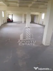 De vanzare / inchiriere hala industriala in Mosnita Noua, jud. Timis