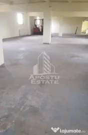 De vanzare / inchiriere hala industriala in Mosnita Noua, jud. Timis