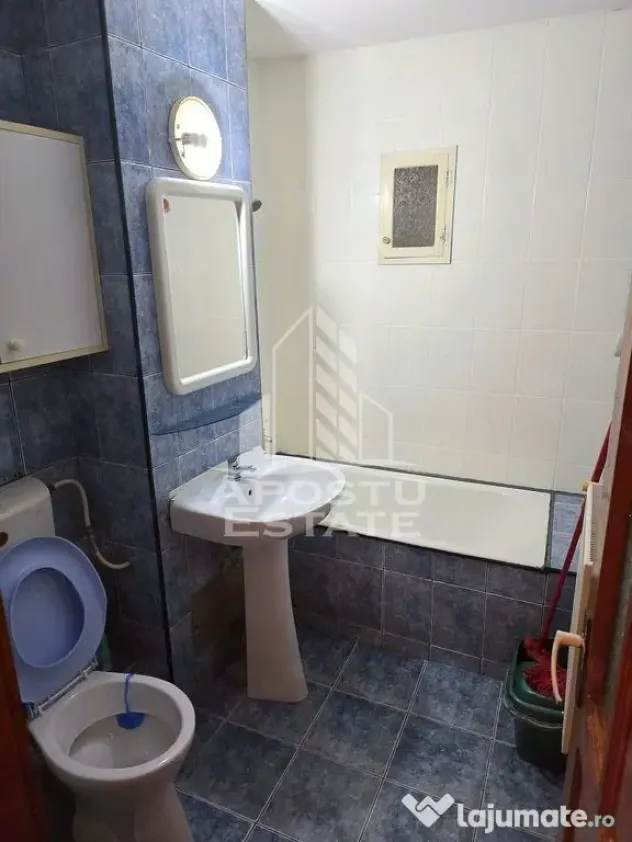 Apartament cu 4 camere de inchiriat in zona Dambovita - Timisoara (Timis)
