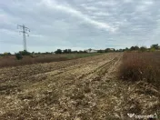 Teren de vânzare Tărtășești — 7137 mp, front 35 m