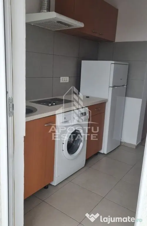 Apartament cu 1 camera de închiriat,Mosnita Noua,cu parcare - Mosnita Noua (Timis)