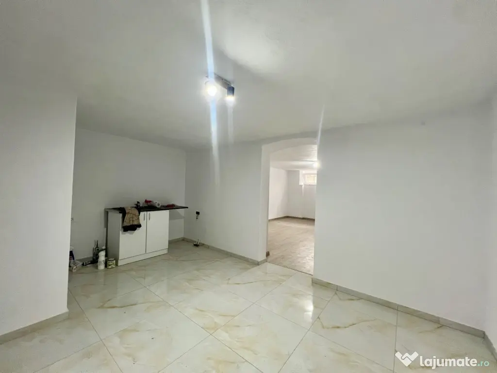 Apartament cu 2 camere, 40 mp utili, demisol - Zona Balcescu - Timisoara (Timis)