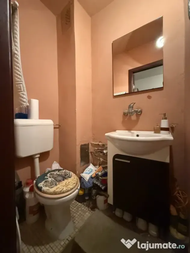 Apartament cu 3 camere, decomandat, parter - Baba Dochia - Timisoara (Timis)