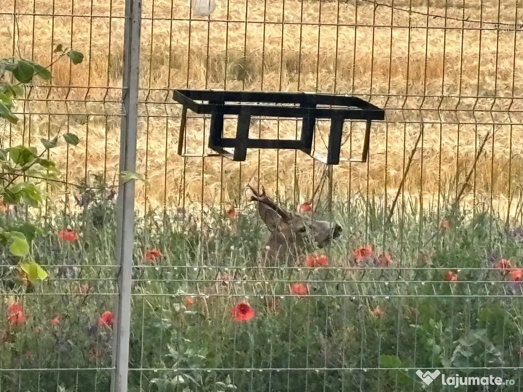 Casă tip Farmhouse la marginea pădurii, cu vedere spre Bucegi - Dumbraveni (Bucuresti-Ilfov)