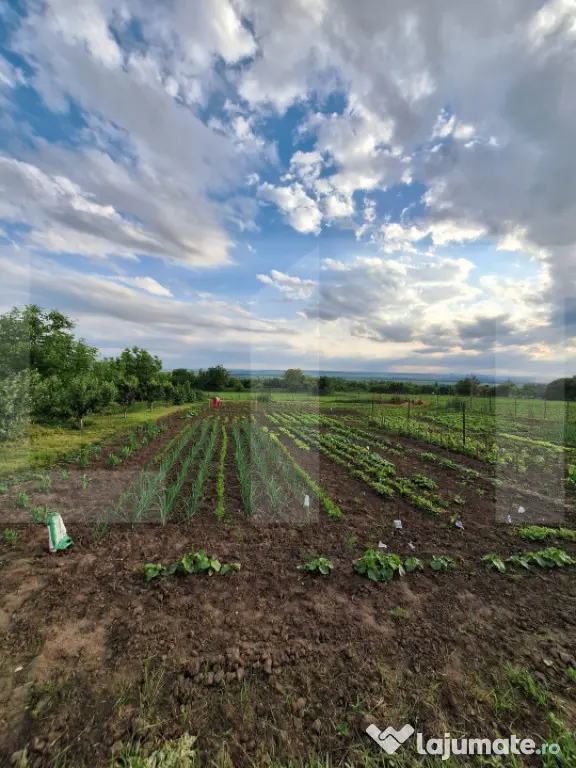 Casă de vânzare, 50 mp, zona Centrală - Călinești - Calinesti (Candesti) (Botosani)
